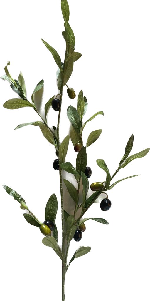 Mini Vara de Olivo